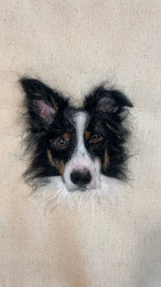 Pet Portrait