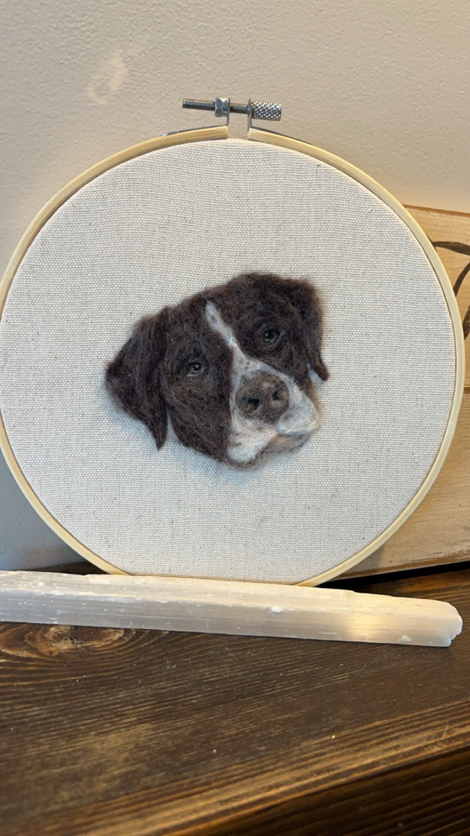Pet Portrait