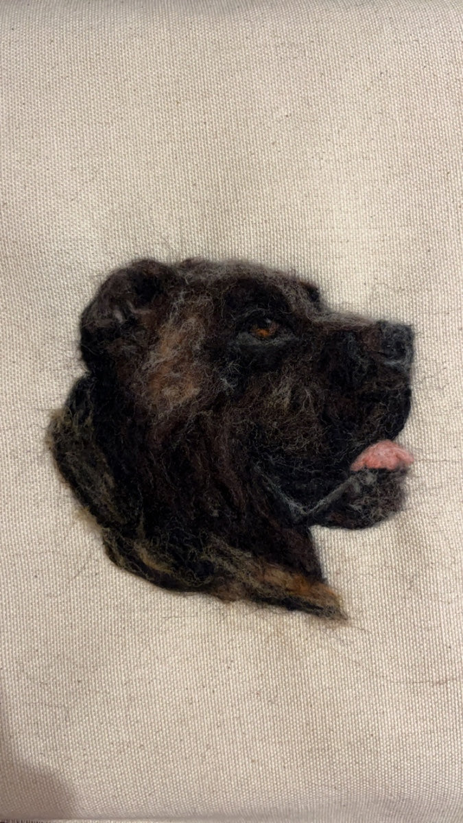 Pet Portrait